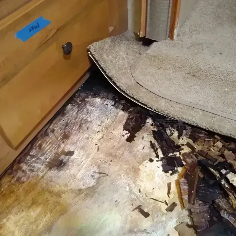 Wood Floor Water Damage in Granite City, IL